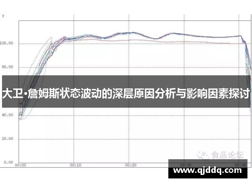 大卫·詹姆斯状态波动的深层原因分析与影响因素探讨