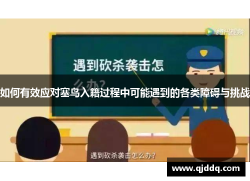 如何有效应对塞鸟入籍过程中可能遇到的各类障碍与挑战