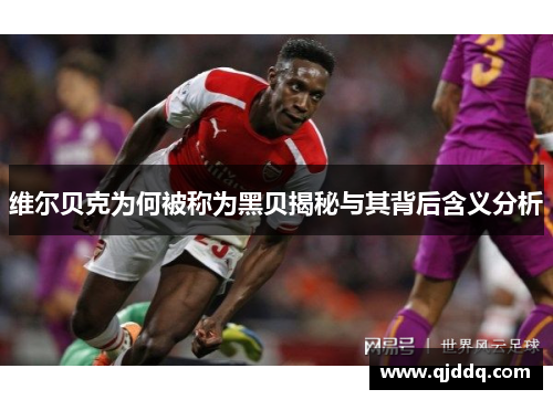 维尔贝克为何被称为黑贝揭秘与其背后含义分析